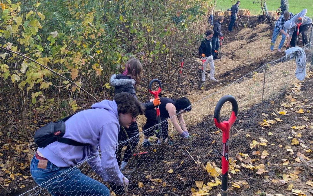 25 Novembre 2022 : Action Plant Your Tree à l&rsquo;Axis Parc