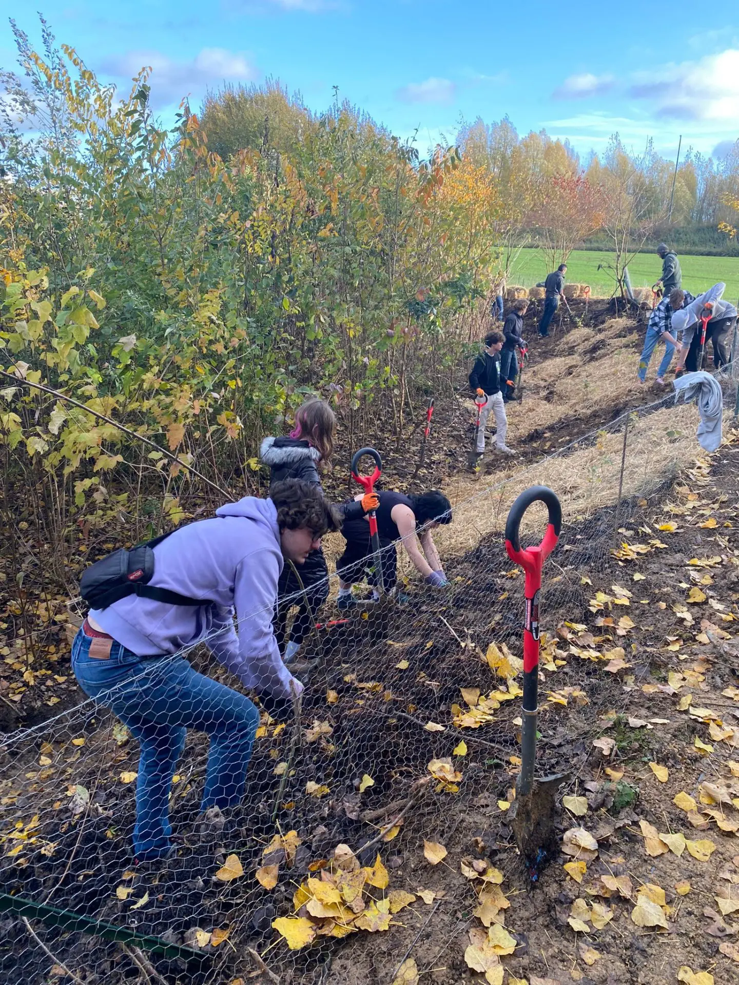 Les élèves creusent la terre avec des pelles au manche rouge, derrière un grillage.